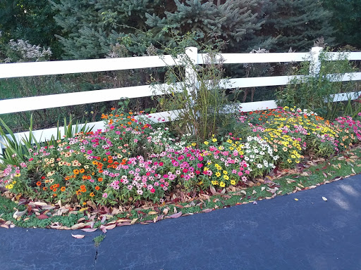 Nature Preserve «Buffalo Creek Forest Preserve», reviews and photos, 18163 W Checker Rd, Long Grove, IL 60047, USA