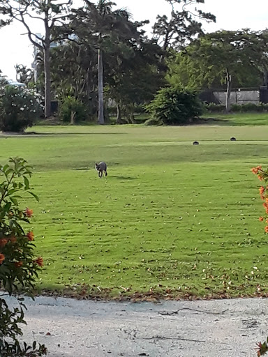 Country Club «Coral Ridge Country Club», reviews and photos, 3801 Bayview Dr, Fort Lauderdale, FL 33308, USA