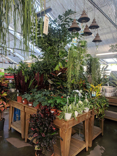 Plant shops in Zurich