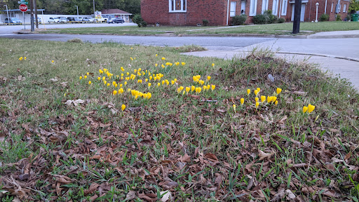 Jewelry Buyer «Mckinney Jewelry & Loan», reviews and photos, 800 S McDonald St, McKinney, TX 75069, USA