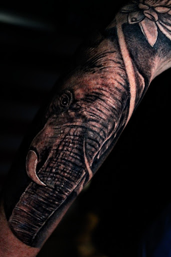 Explore 3 musketeers tattoo ideas, creative tattoo ideas in Homosassa, available at Citrus Tattoos