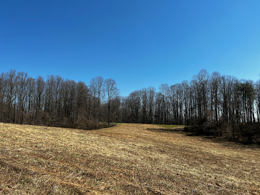 Park «Cromwell Valley Park», reviews and photos, 2002 Cromwell Bridge Rd, Parkville, MD 21234, USA