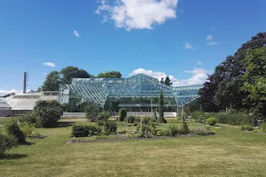 Edvard Andersons greenhouse image