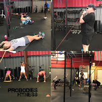 ProBodies Elite - Photo 3 - Car repair in The Woodlands, TX, The Woodlands