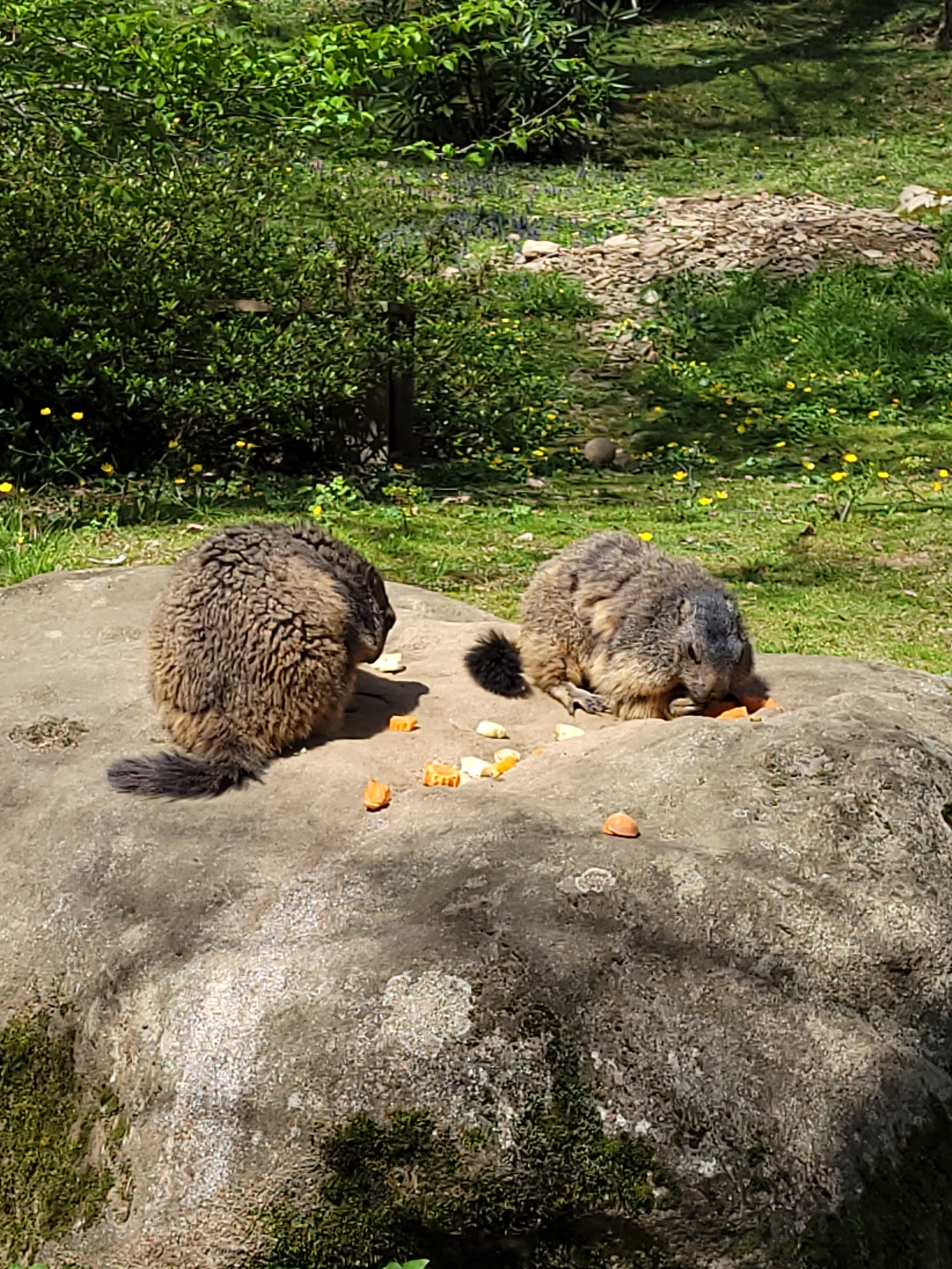 Photo n° 5 de l'avis de krystalita.t fait le 06/05/2023 à 15:24