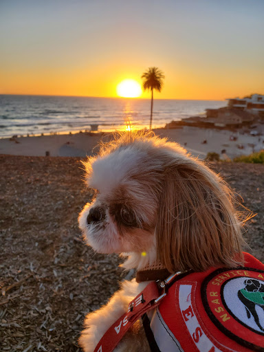 State Park «Moonlight State Beach», reviews and photos, 400 B St, Encinitas, CA 92024, USA