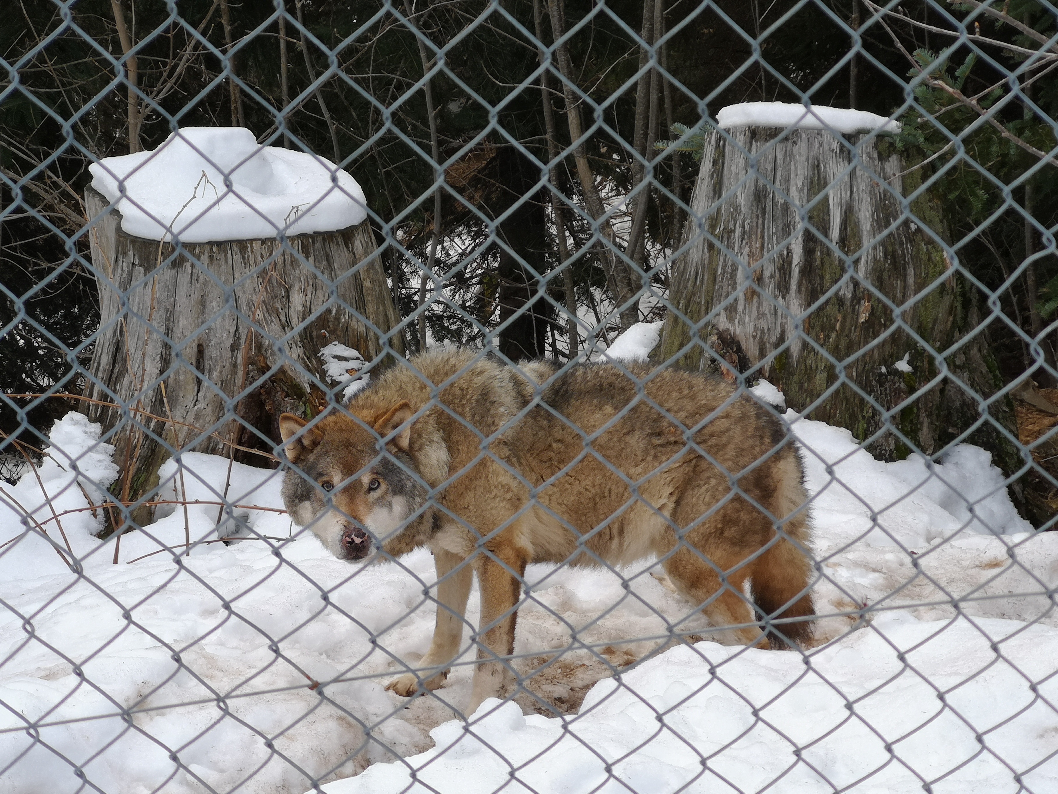 Photo n° 3 de l'avis de M. fait le 06/02/2020 à 09:02