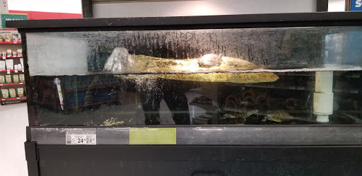 Pet Supply Store «Petco Animal Supplies», reviews and photos, 4012 W 27th Ave, Kennewick, WA 99337, USA