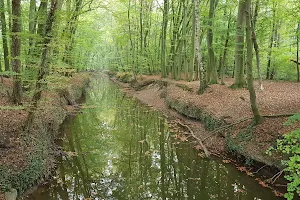 Wolbecker Tiergarten image