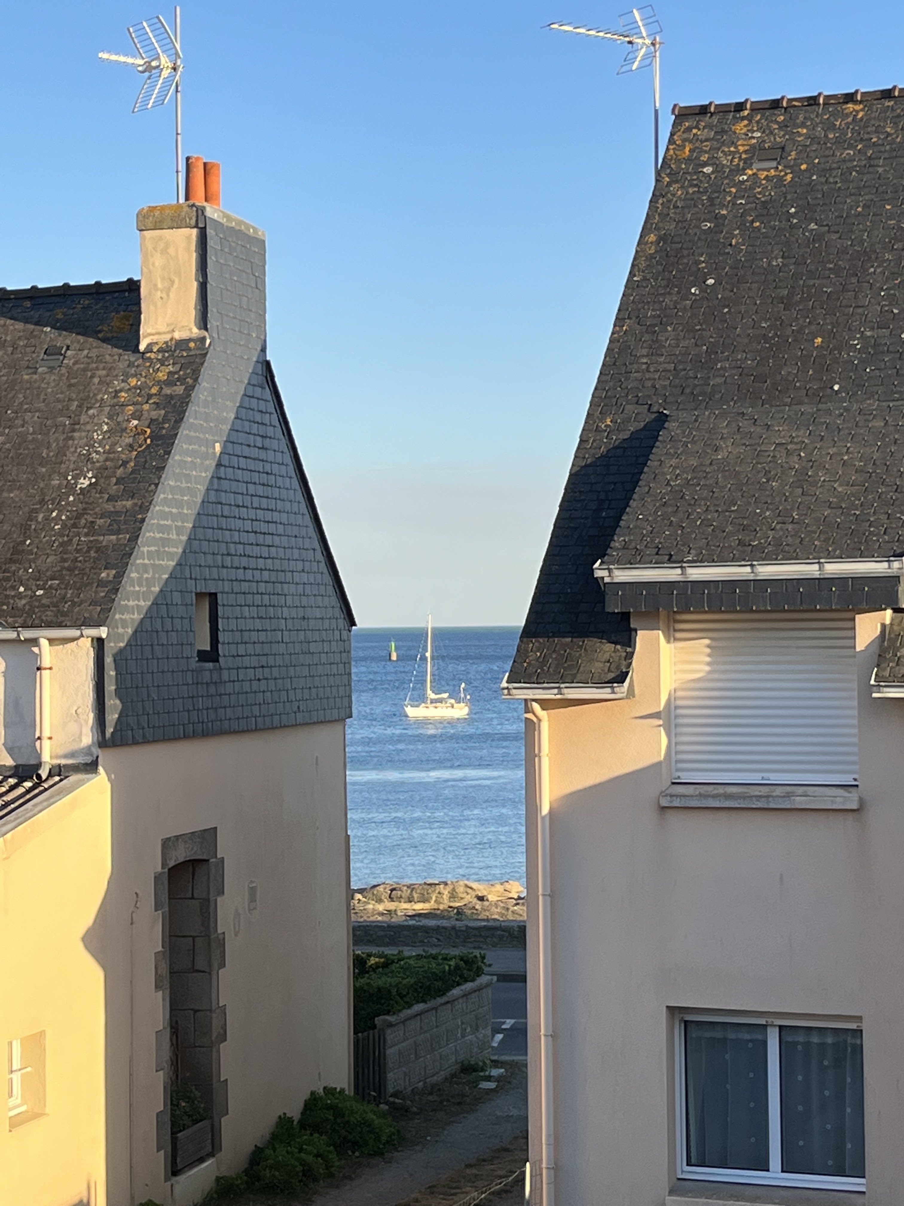 Photo n° 7 de l'avis de Hartmut.e fait le 21/08/2022 à 19:01
