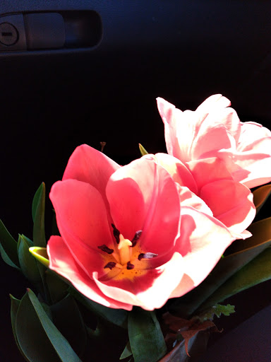 Wine Store «Jay Kay Wine & Liquor», reviews and photos, 624 US-206, Bordentown, NJ 08505, USA