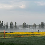 Photo n°1 de l'avis de Mr..e fait le 13/06/2023 à 04:54 sur le  Country Inn Suitenhotel à Werder