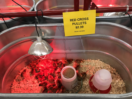 Department Store «Rural King», reviews and photos, 1000 N Main St, Marysville, OH 43040, USA