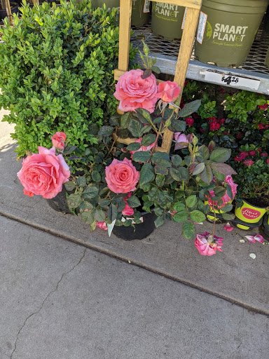 Home Improvement Store «The Home Depot», reviews and photos, 111 Shoreline Pkwy, San Rafael, CA 94901, USA