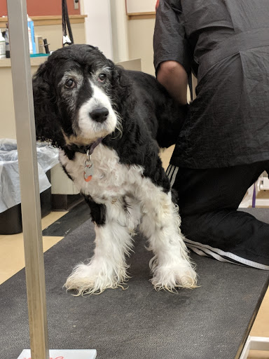 Pet Supply Store «Pet Supplies Plus», reviews and photos, 425 Water St, Chardon, OH 44024, USA