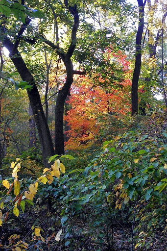 Hiking Area «McKaig Nature Education Center», reviews and photos, 889 Croton Rd, Wayne, PA 19087, USA