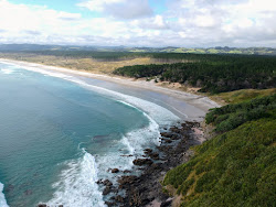 Photo de Forestry Beach avec rivage droit, long