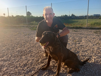 D'casaumurciak9 en Murcia