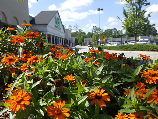 Supermarket «Publix Super Market at Georgetown Square», reviews and photos, 1860 Barnett Shoals Rd, Athens, GA 30605, USA