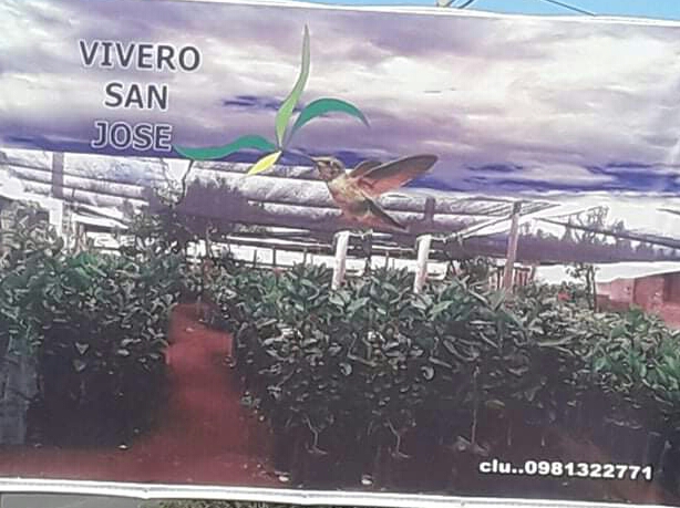 Vivero " SAN JOSÉ "