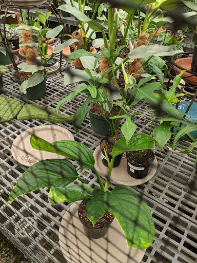 Hardware Store «Proctor Ace Hardware», reviews and photos, 1281 Atlantic Blvd, Neptune Beach, FL 32266, USA