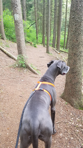 Nature Preserve «Strawberry Hill Nature Preserve», reviews and photos, 1537 Mt Hope Rd, Fairfield, PA 17320, USA