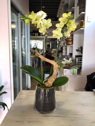 Orchid Republic Floral Boutique image
