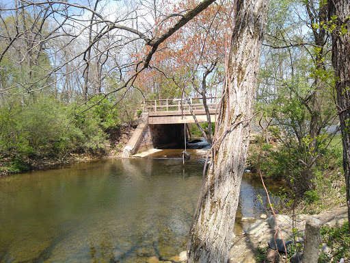 Ontelaunee Park