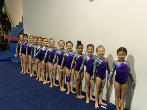 Gymnastics Center «Lakeshore Dance, Gymnastics, & Cheer», reviews and photos, 701 Beta Dr #25, Mayfield, OH 44143, USA