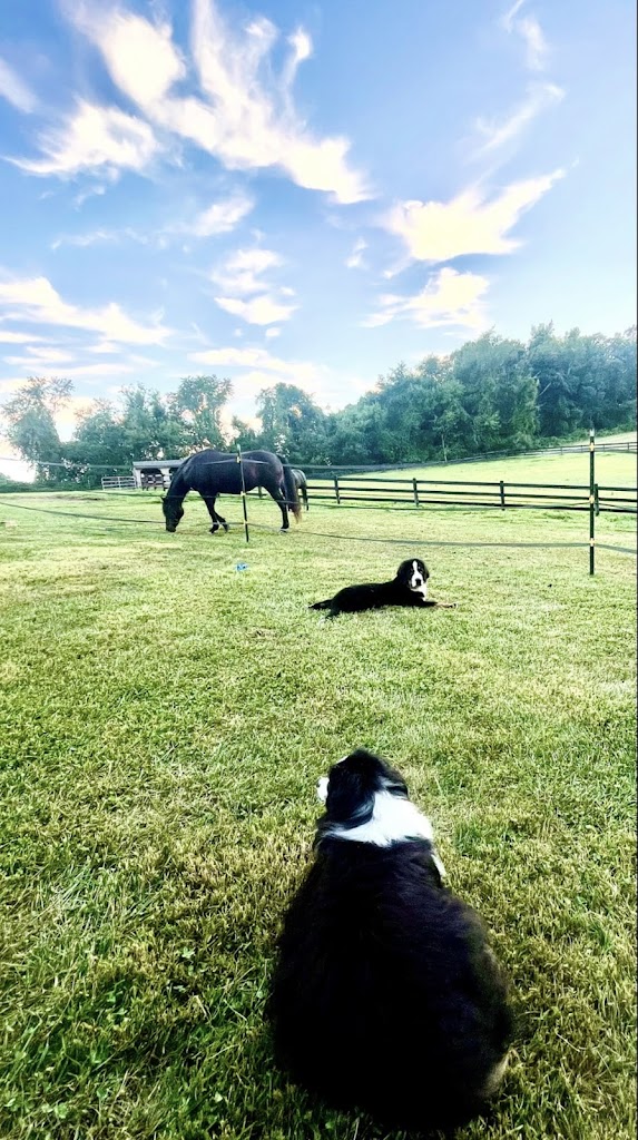 The Girl Next Door Beauty & Spa Westminster, MD 21157 Services and