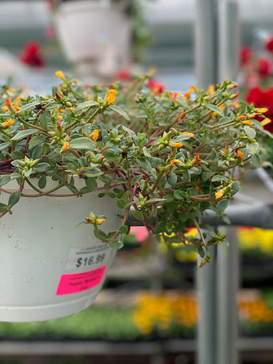 Hardware Store «La Grange Pk Ace Hardware Inc», reviews and photos, 900 E 31st St, La Grange Park, IL 60526, USA