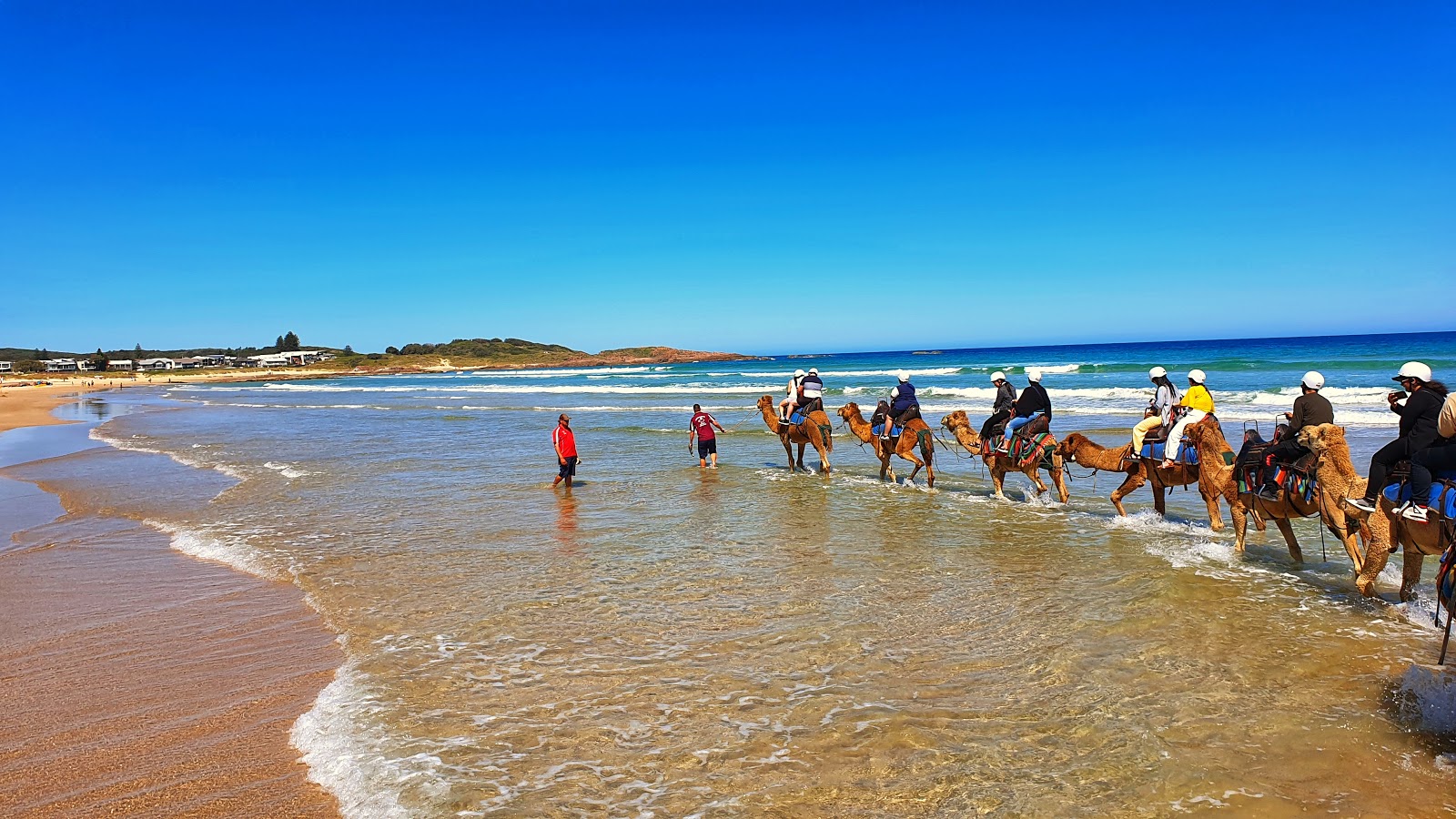 Birubi Beach photo #6