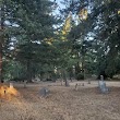 PARKLAND LUTHERAN CEMETERY