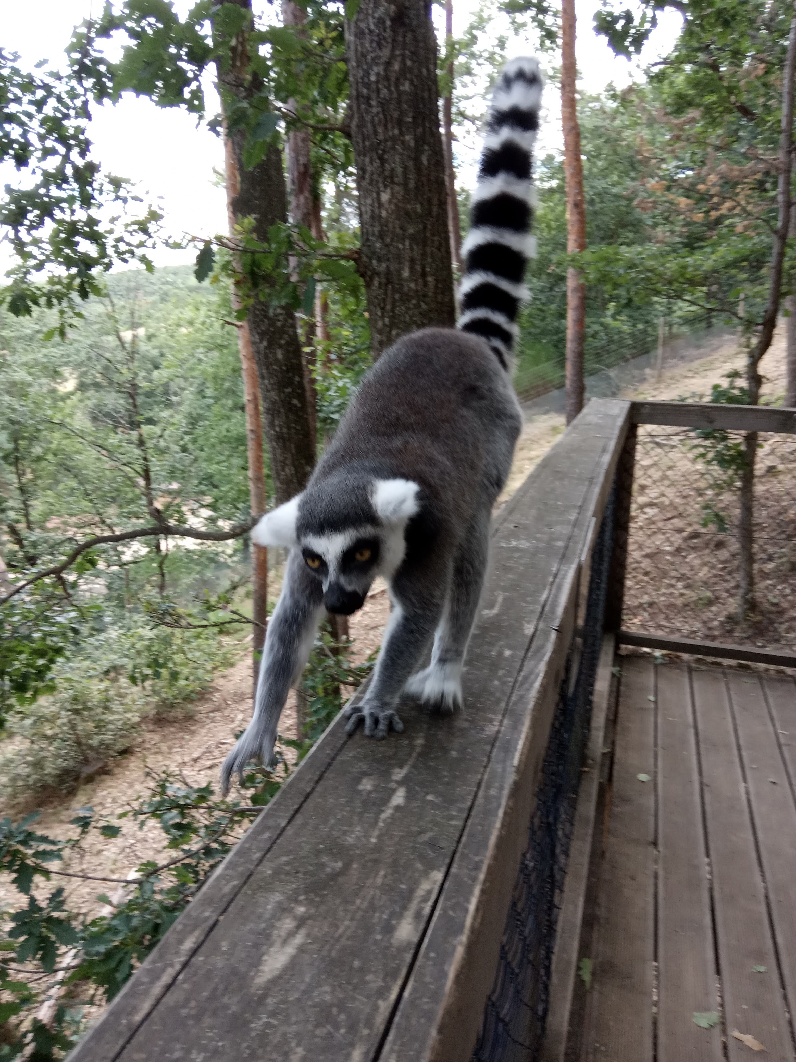 Photo n° 1 de l'avis de Dominique.g fait le 30/08/2020 à 15:46