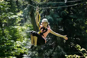 Canopy Tours NW image