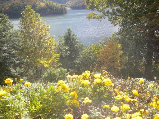 Coffee Shop «The Coffee Company», reviews and photos, 444 E Elk Ave, Elizabethton, TN 37643, USA