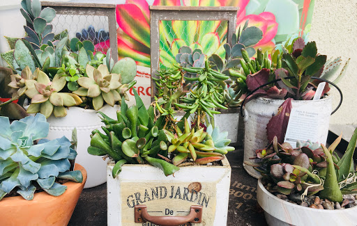 Grocery Store «Vons», reviews and photos, 4705 Torrance Blvd, Torrance, CA 90503, USA