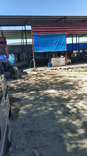 Hayri Baş Yayla Evi