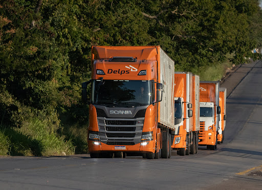 Logo da empresa - Delps Transportes