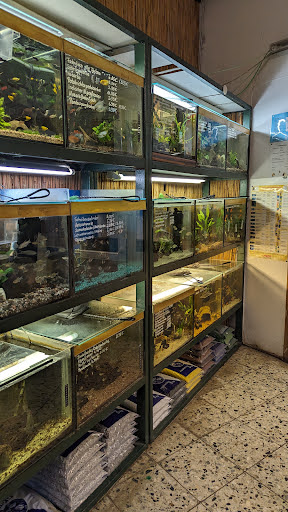 Zoo-Shop Inh. Nicolaus Hoffmann unter Grevesmühlen, 