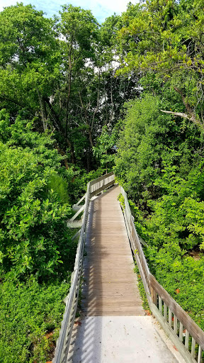 Park «Haulover Park», reviews and photos, 10800 Collins Ave, Miami Beach, FL 33154, USA