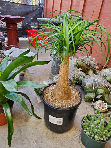 Hardware Store «Santa Barbara Home Improvement Center», reviews and photos, 415 E Gutierrez St, Santa Barbara, CA 93101, USA