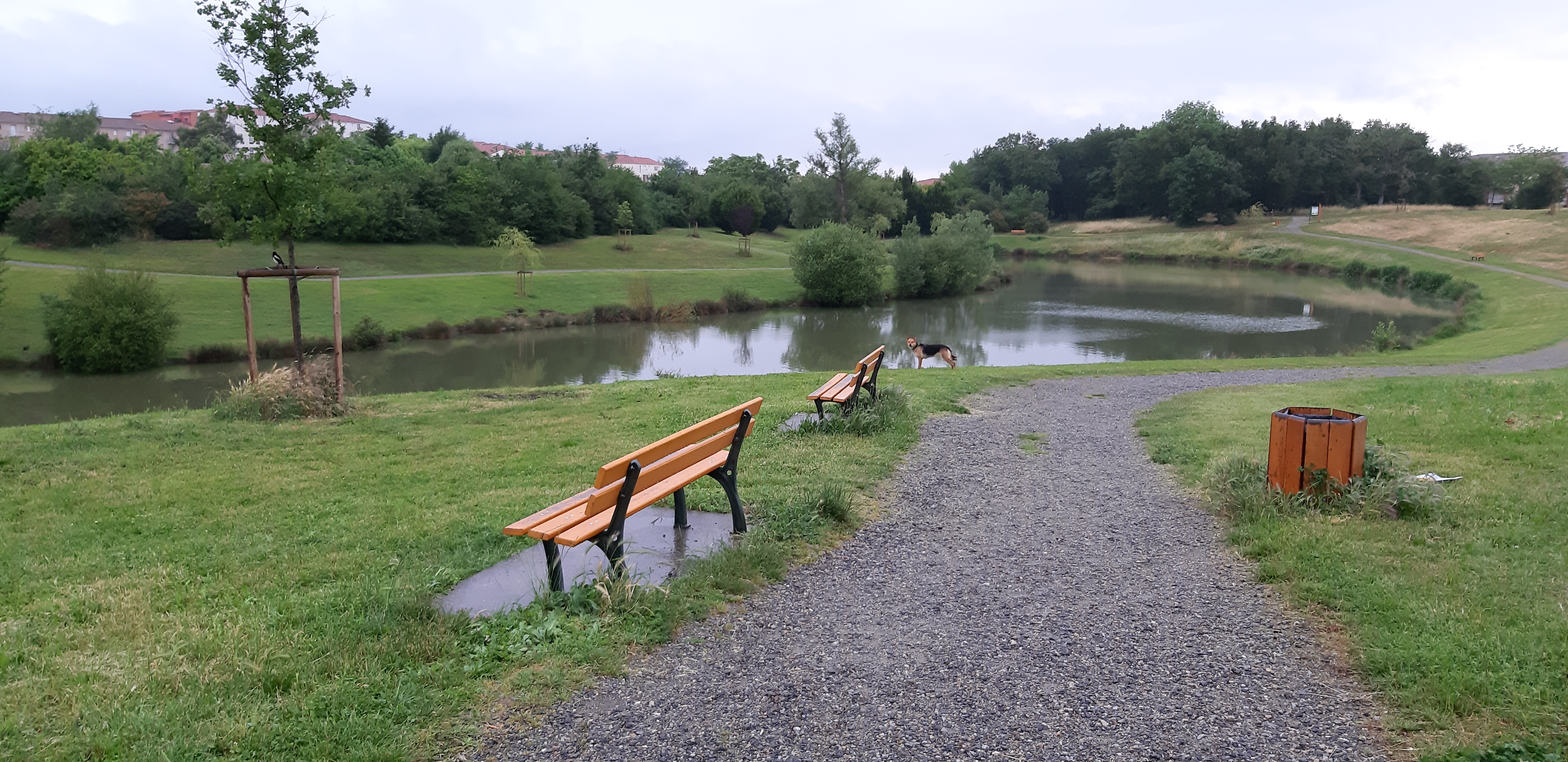 Photo n° 3 de l'avis de Marie.i fait le 13/06/2019 à 04:42