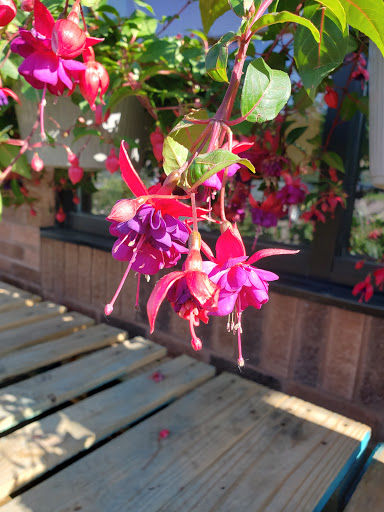 Grocery Store «Family Fresh Market», reviews and photos, 110 W 4th St, New Richmond, WI 54017, USA