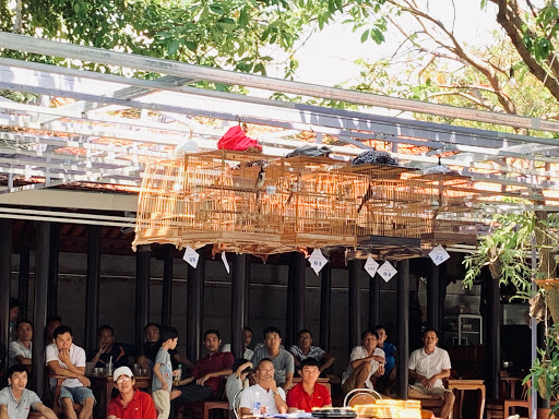 Top 20 quán cafe sân vườn Thành phố Đông Hà Quảng Trị 2022