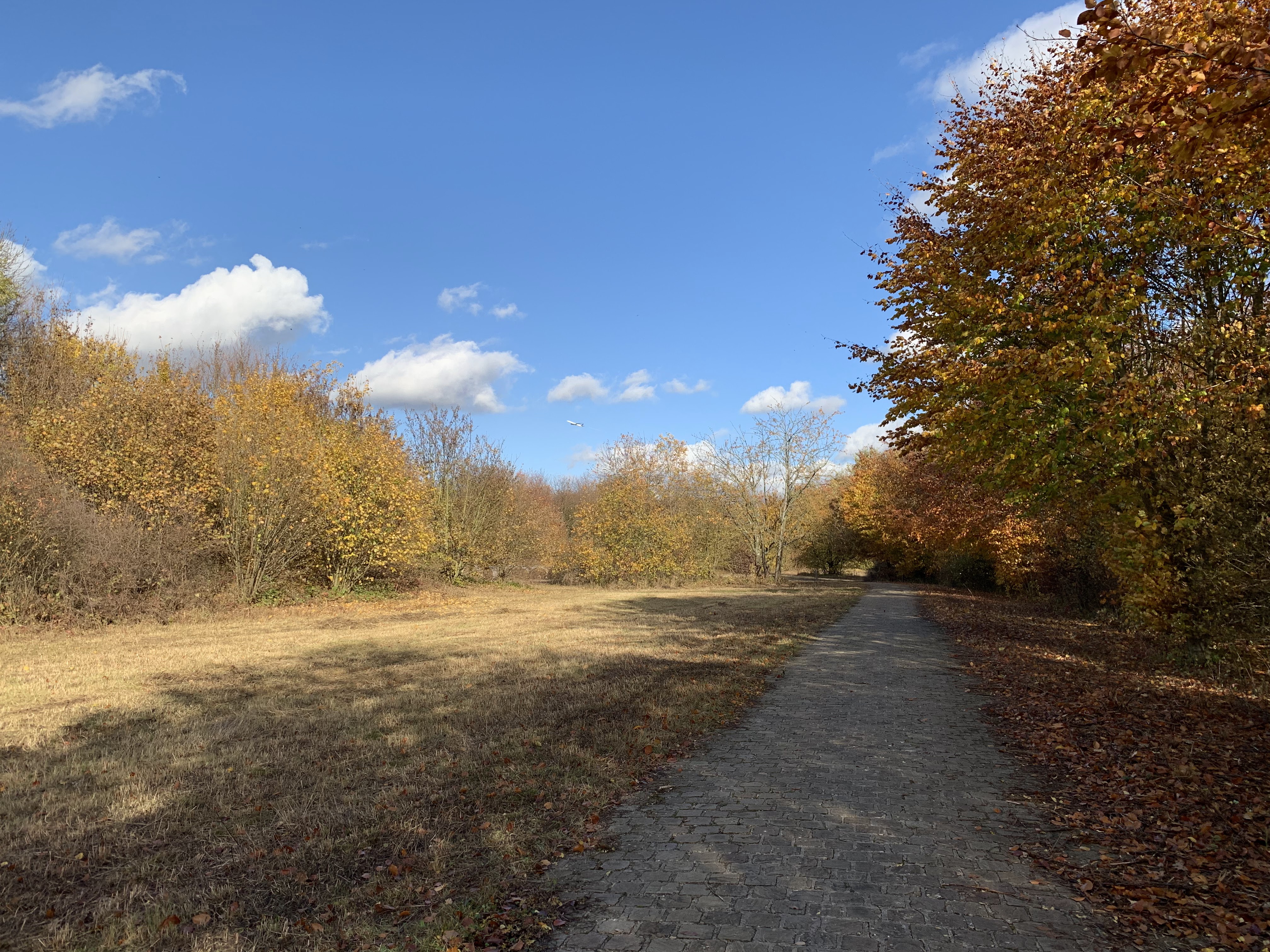 Photo n° 3 de l'avis de Emeline.r fait le 14/11/2018 à 17:57