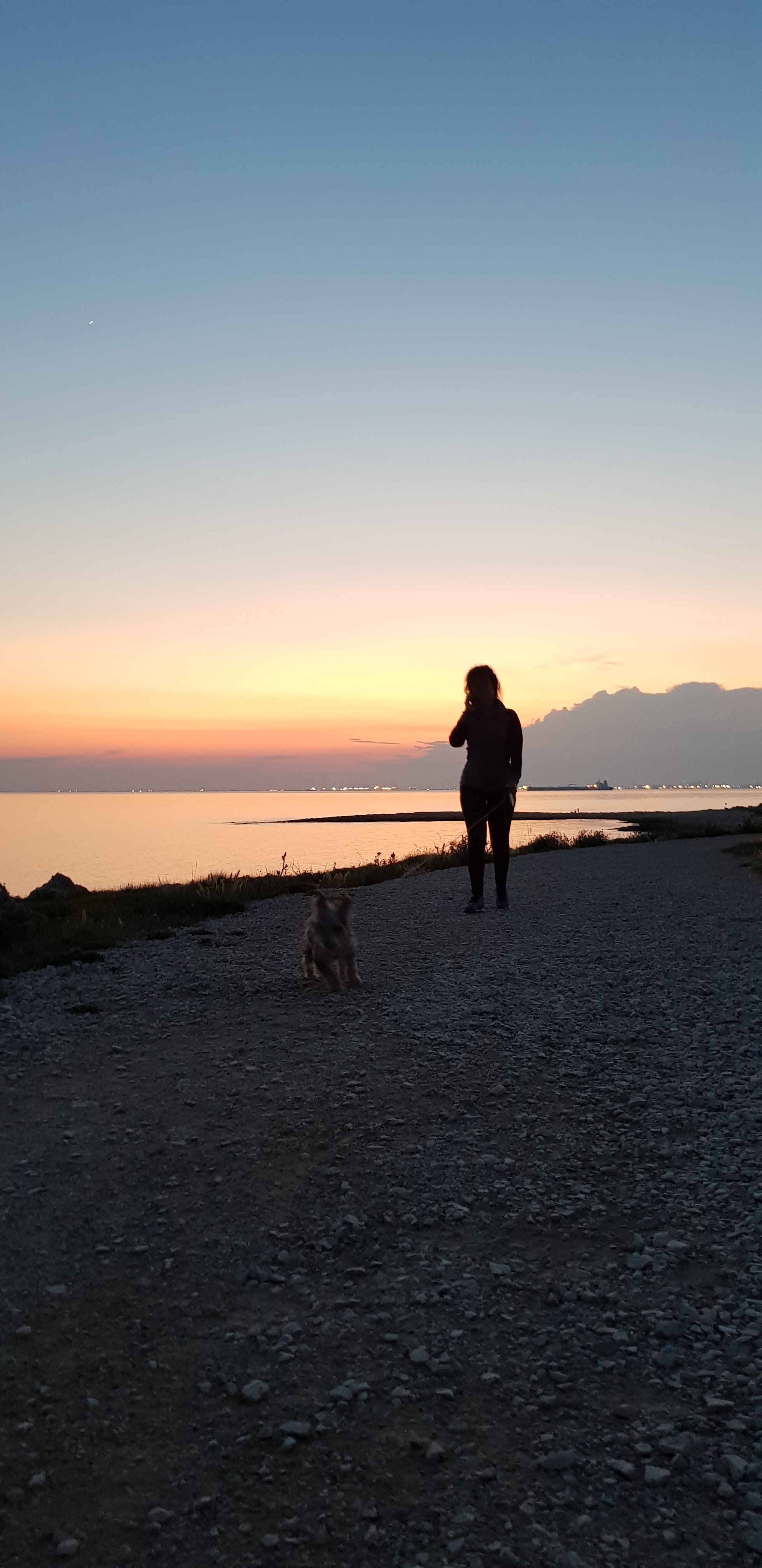 Photo n° 3 de l'avis de Diamantino.A fait le 21/05/2018 à 13:37