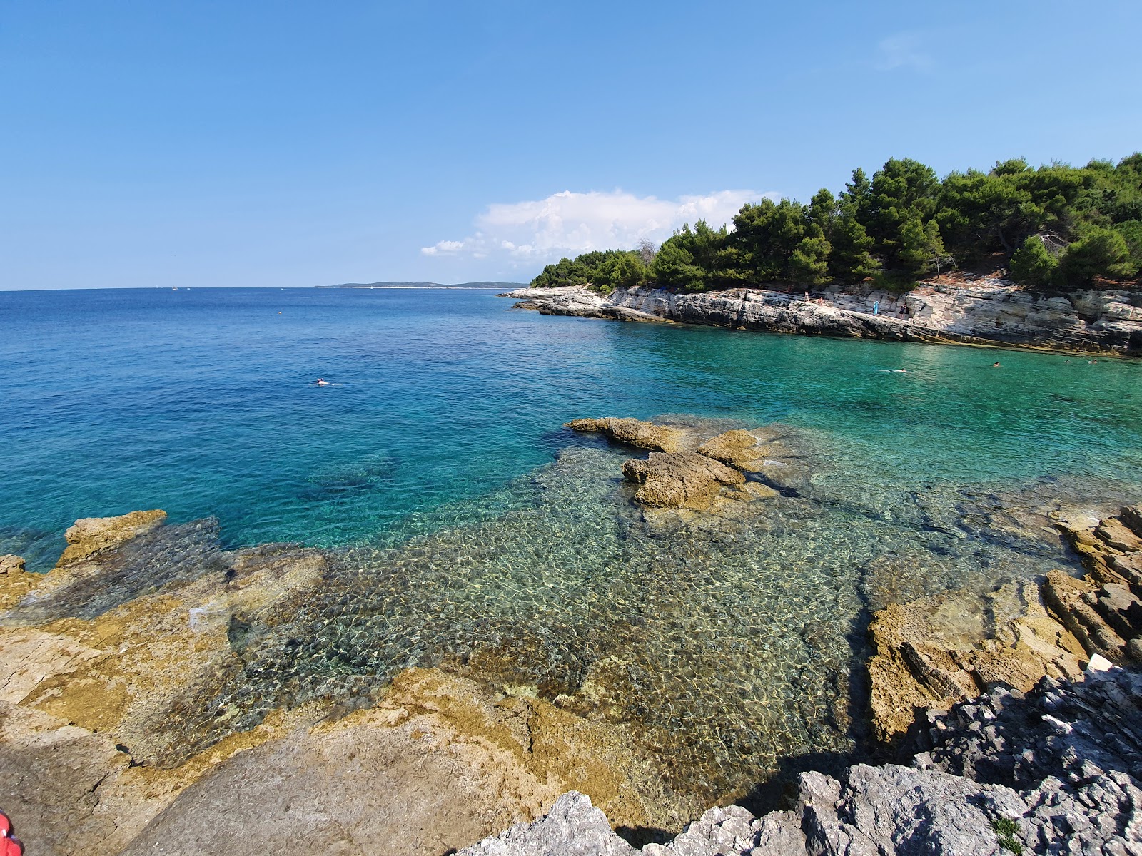 Radovica beach'in fotoğrafı vahşi alan