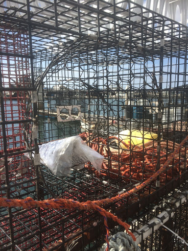 Lobster Port LLC