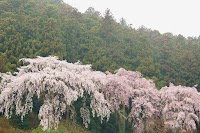 天照御祖神社